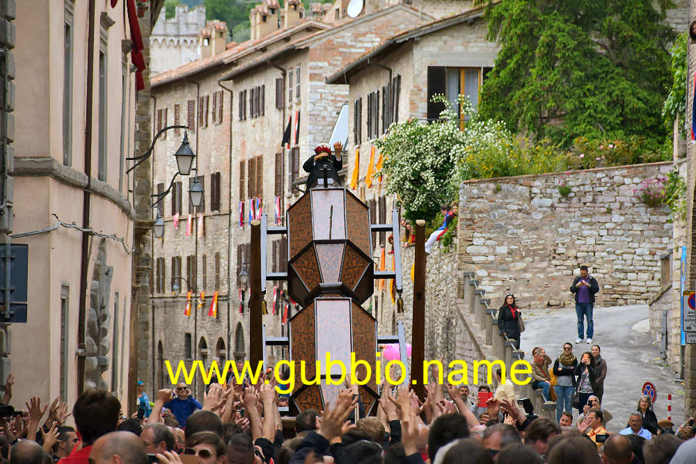 Alzata di Sant'Antonio